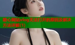 糖心网站vlog无法打开的原因及解决方法详解(1)