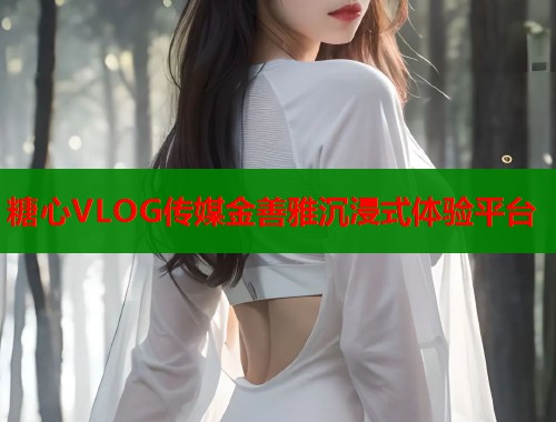 糖心VLOG传媒金善雅沉浸式体验平台  第1张